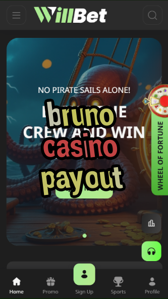 bruno casino payout-asdasdzhjkds.com
